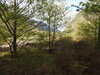 20210525175223-DSCN8520.JPG