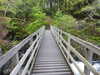 20210525175254-DSCN8522.JPG