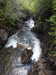20210525175429-DSCN8531.JPG