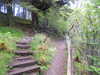 20210525175509-DSCN8533.JPG