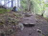 20210525175530-DSCN8534.JPG