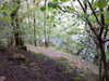 20210525175537-DSCN8535.JPG