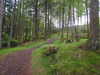 20210525175610-DSCN8537.JPG