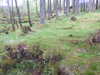 20210525175629-DSCN8538.JPG