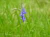 20210525175652-DSCN8539.JPG