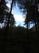 20210525175757-DSCN8542.JPG