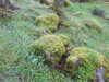 20210525175803-DSCN8543.JPG