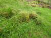 20210525175819-DSCN8544.JPG