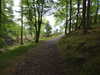 20210525175908-DSCN8545.JPG