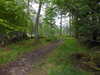 20210525180009-DSCN8548.JPG