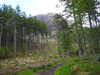 20210525180044-DSCN8549.JPG