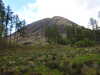 20210525180205-DSCN8552.JPG