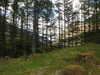 20210525180329-DSCN8555.JPG