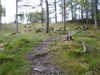 20210525180433-DSCN8556.JPG