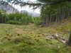 20210525180522-DSCN8558.JPG