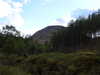 20210525180625-DSCN8559.JPG
