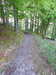 20210525181137-DSCN8563.JPG