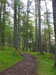 20210525181239-DSCN8564.JPG