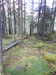 20210525181322-DSCN8565.JPG