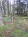 20210525181334-DSCN8566.JPG