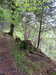20210525181436-DSCN8567.JPG