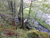 20210525181541-DSCN8569.JPG