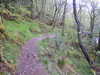 20210525181547-DSCN8570.JPG