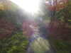 20210525184047-DSCN8610.JPG