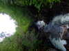 20210525185621-DSCF6115.JPG