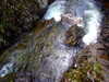 20210525185627-DSCF6116.JPG