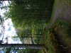 20210525190533-DSCF6122.JPG