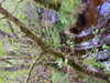 20210525191847-DSCF6128.JPG