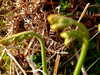 20210525193209-DSCF6137.JPG