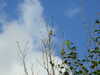 20210525194638-DSCF6148.JPG