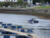 20210526111804-DSCN8632.JPG