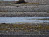 20210526135954-DSCN8664.JPG