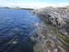 20210526151509-DSCN8671.JPG