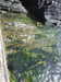 20210526151534-DSCN8673.JPG