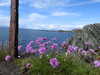 20210526151629-DSCN8676.JPG