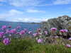 20210526151633-DSCN8677.JPG