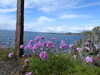20210526151637-DSCN8678.JPG