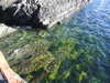 20210526175032-DSCN8691.JPG