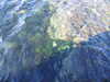 20210526175043-DSCN8692.JPG