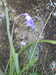 20210526175514-DSCN8709.JPG