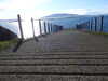 20210526175652-DSCN8710.JPG