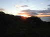 20210526202800-DSCN8714.JPG