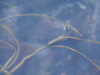 20210526203348-DSCN8734.JPG
