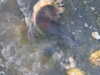 20210526203403-DSCN8735.JPG