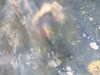 20210526203411-DSCN8737.JPG