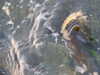 20210526203415-DSCN8738.JPG